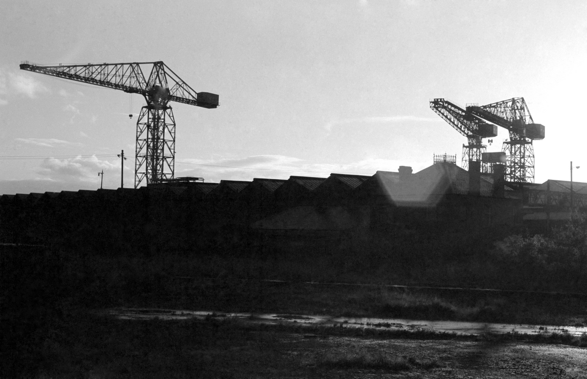 B+W Image of crane silhouette.