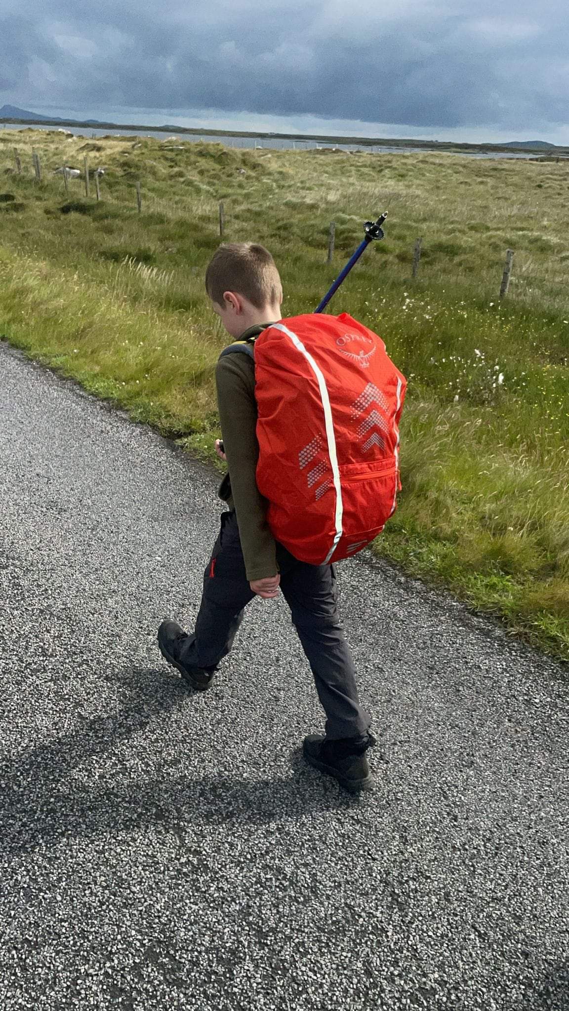 Ollie walking along a road carrying a red backpack on his back.