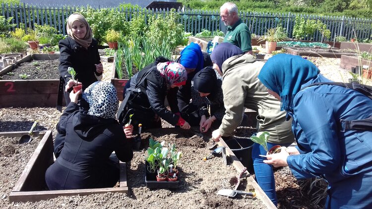 Moments of Freedom group members gardening