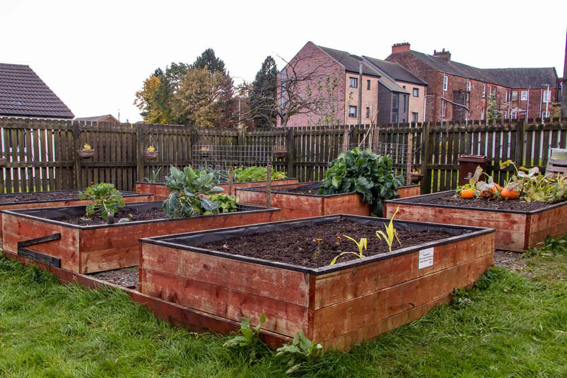 Community Garden
