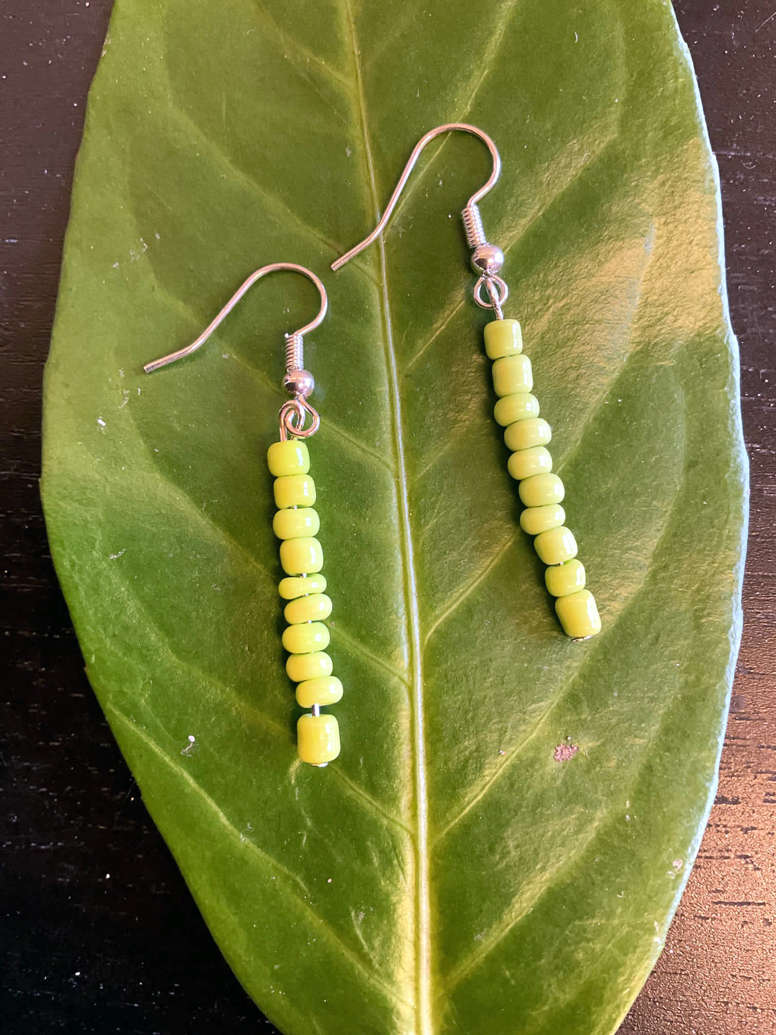 Earrings made by louise