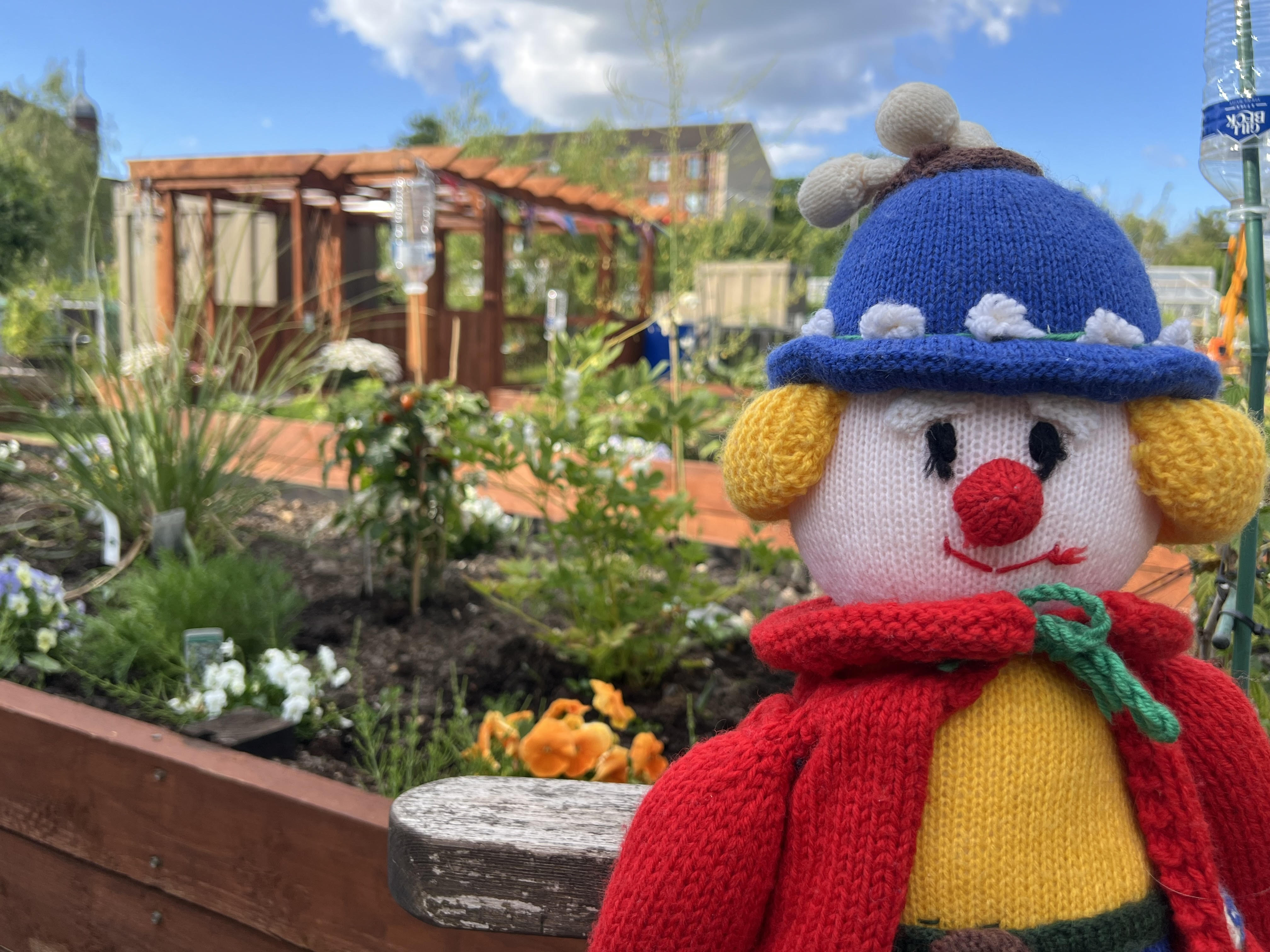 Knitted clown in front of allotments