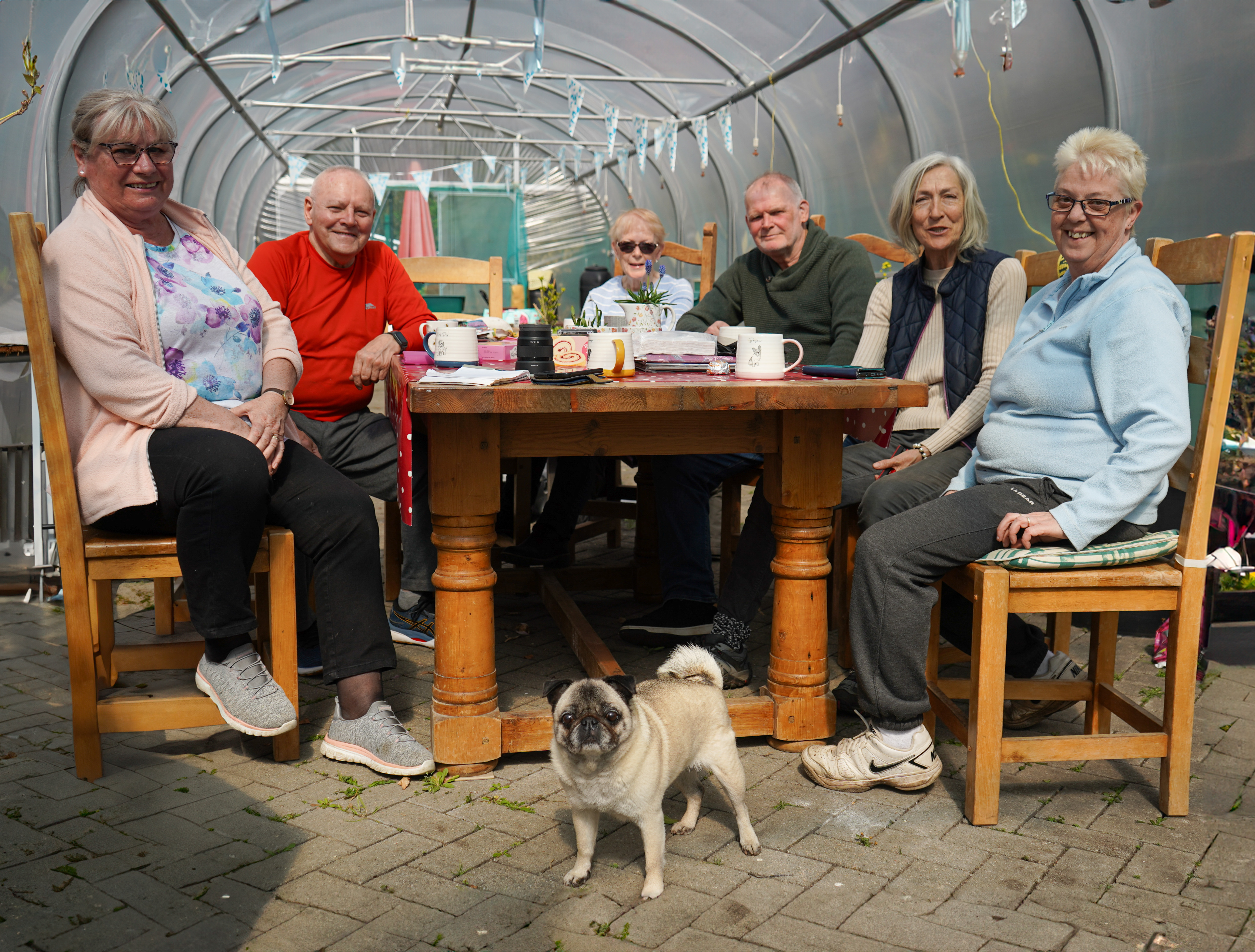 the team sitting in the greenhouse