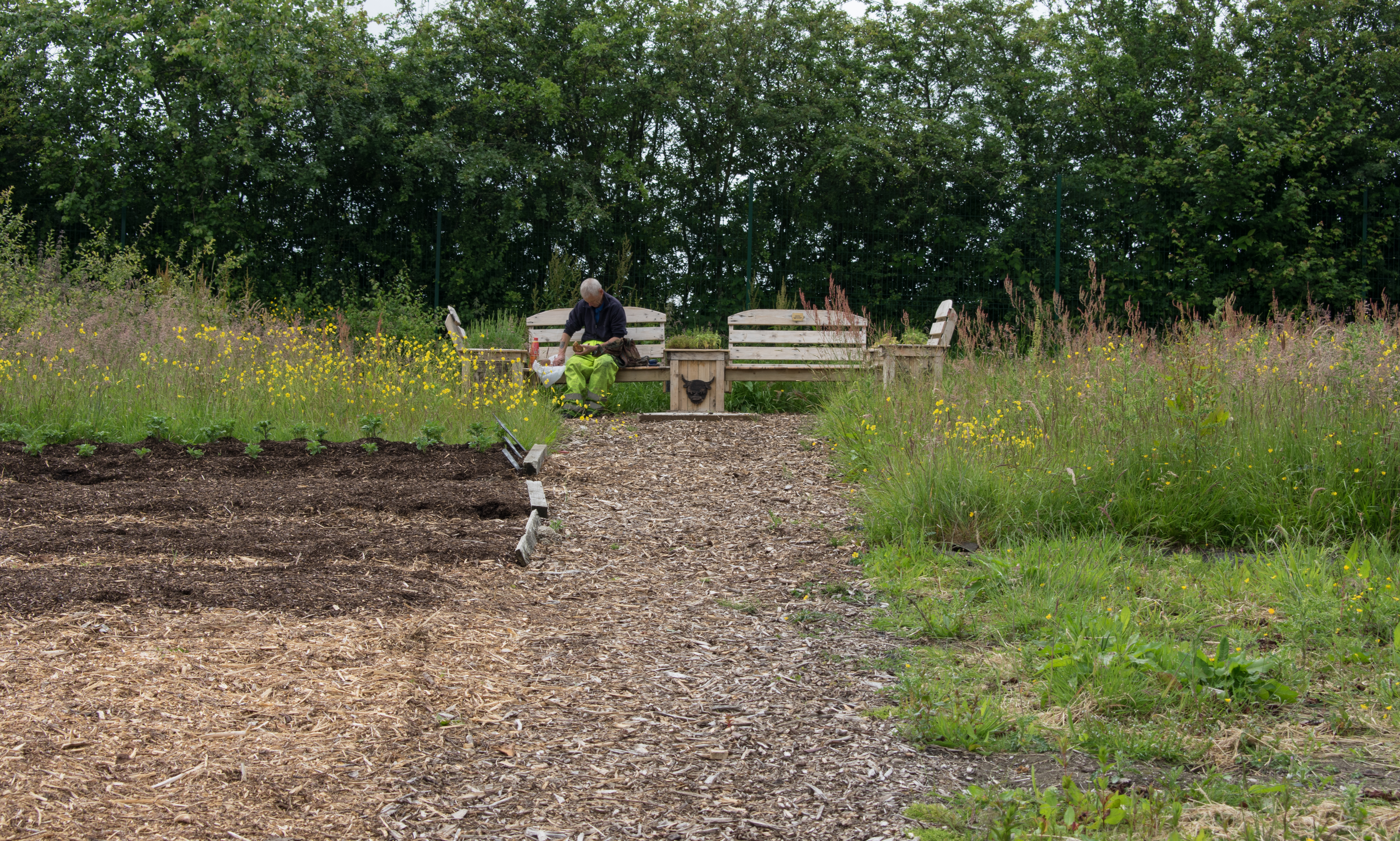 man sitting on a bench, relaxing amongst Knowetop's gardens