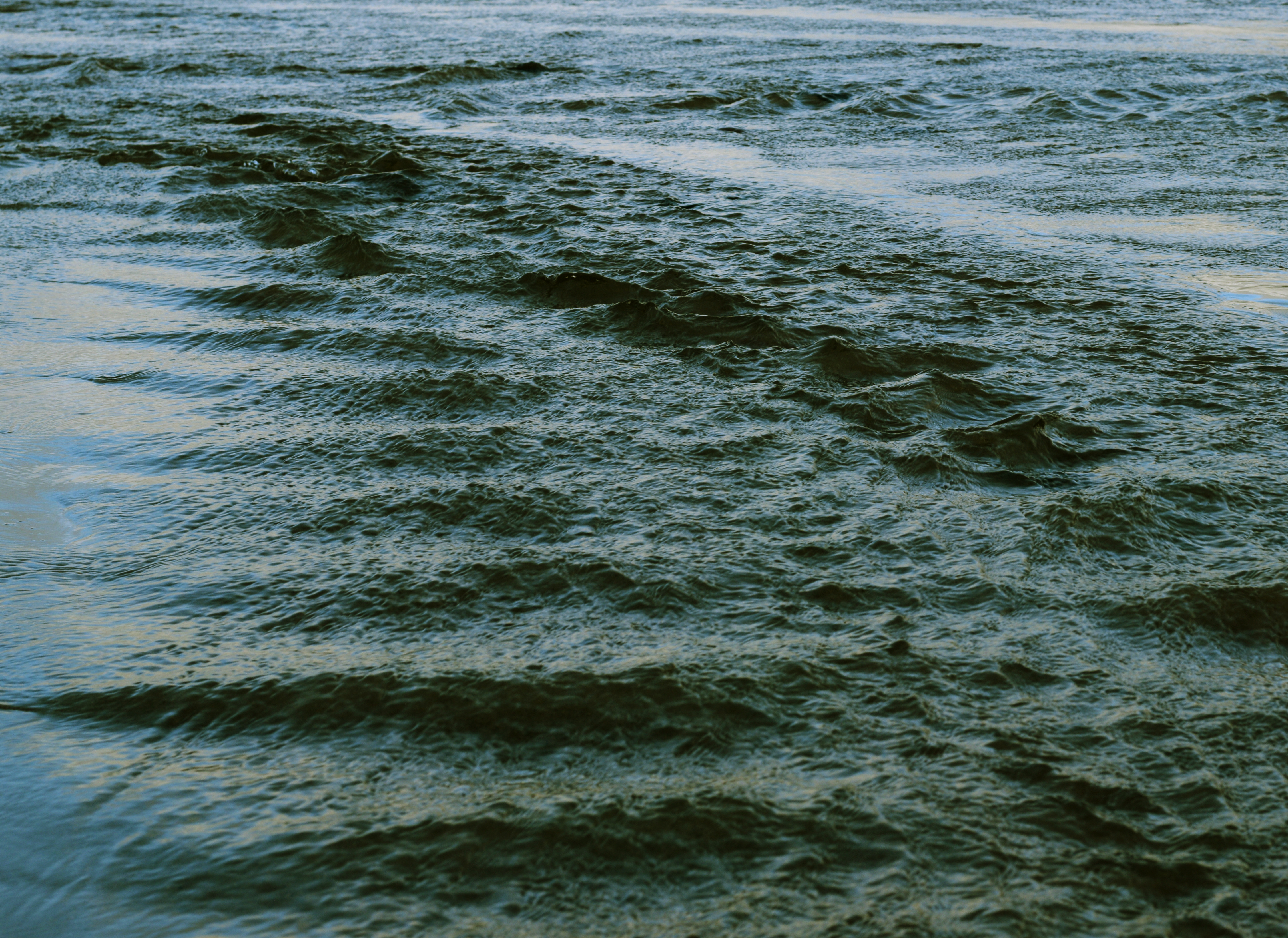 a winding road surrounded by greenery