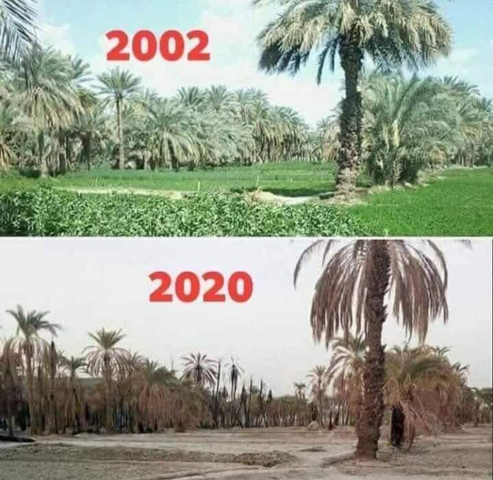 bedore and after photo of Gabes