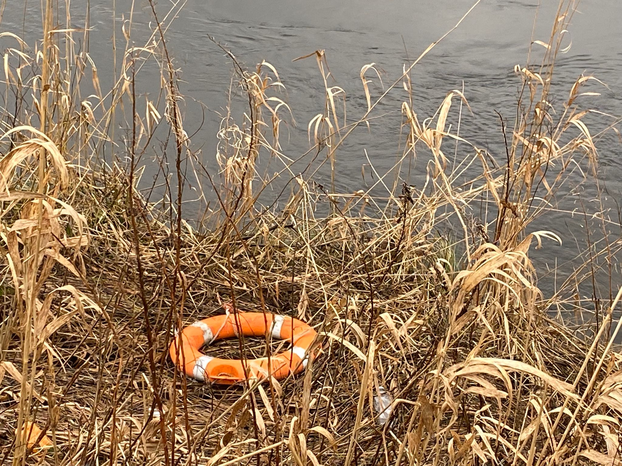 lifebelt lying in the banks of river leven