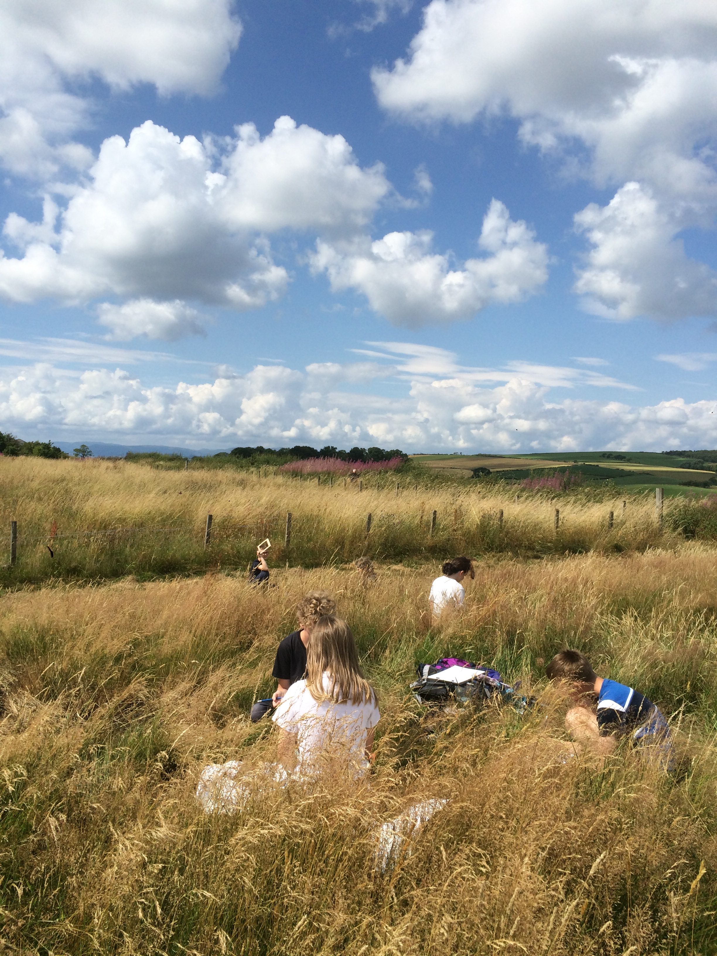 Children sitting in yellow-toned grass on a bright sunny day.