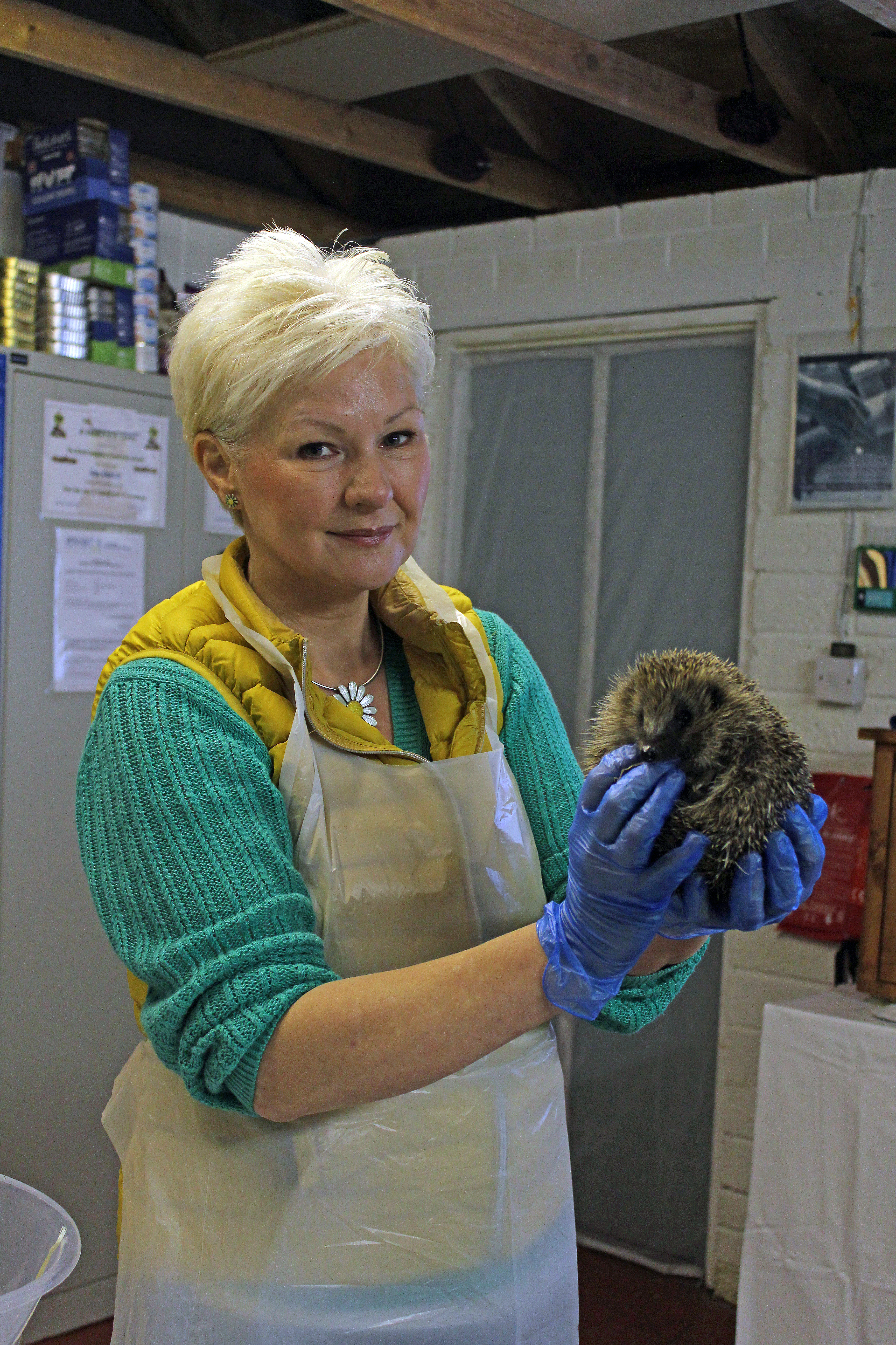 Dawn holding a hedgehog