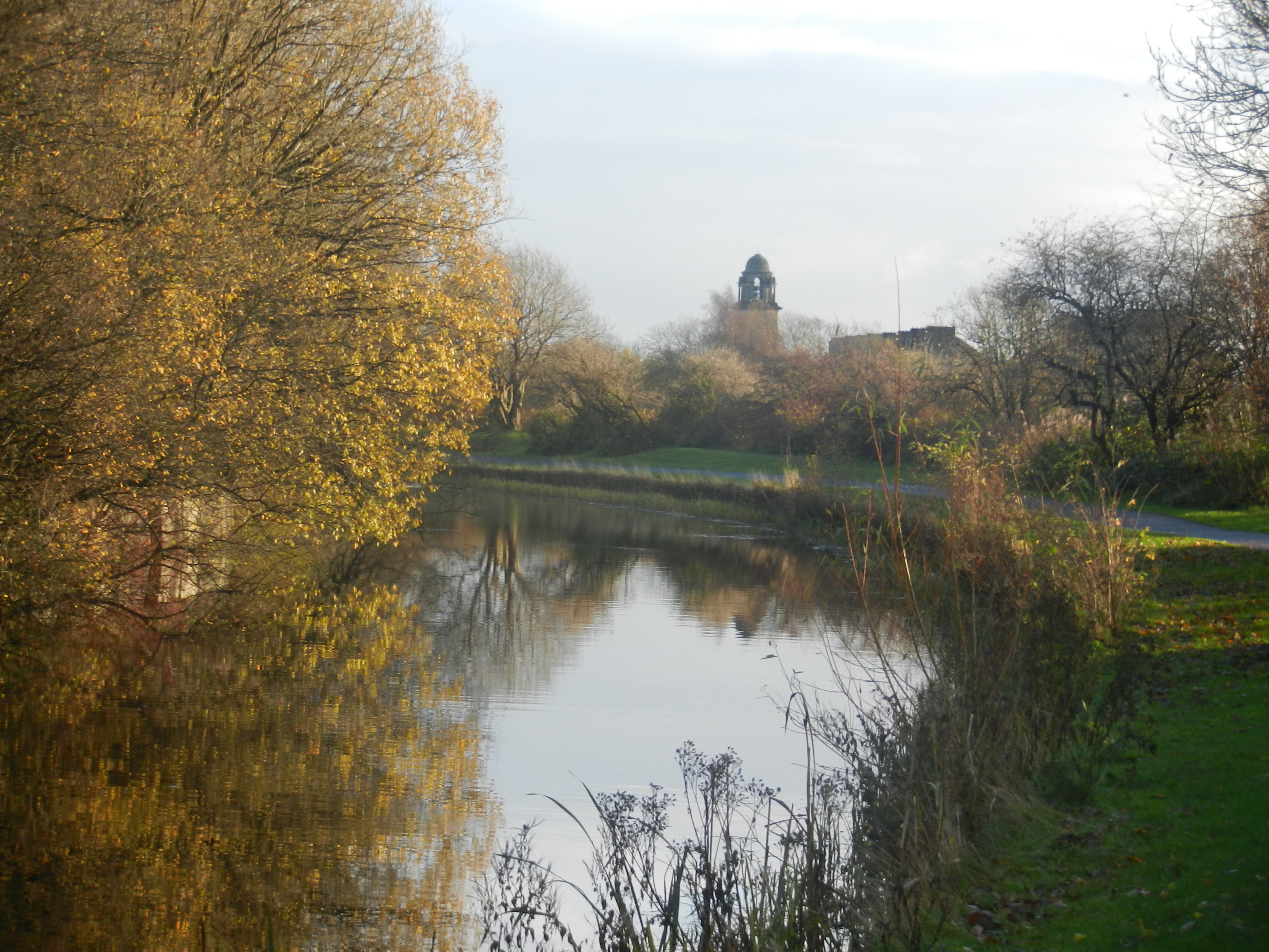 Autumn trees over-hanging the canal