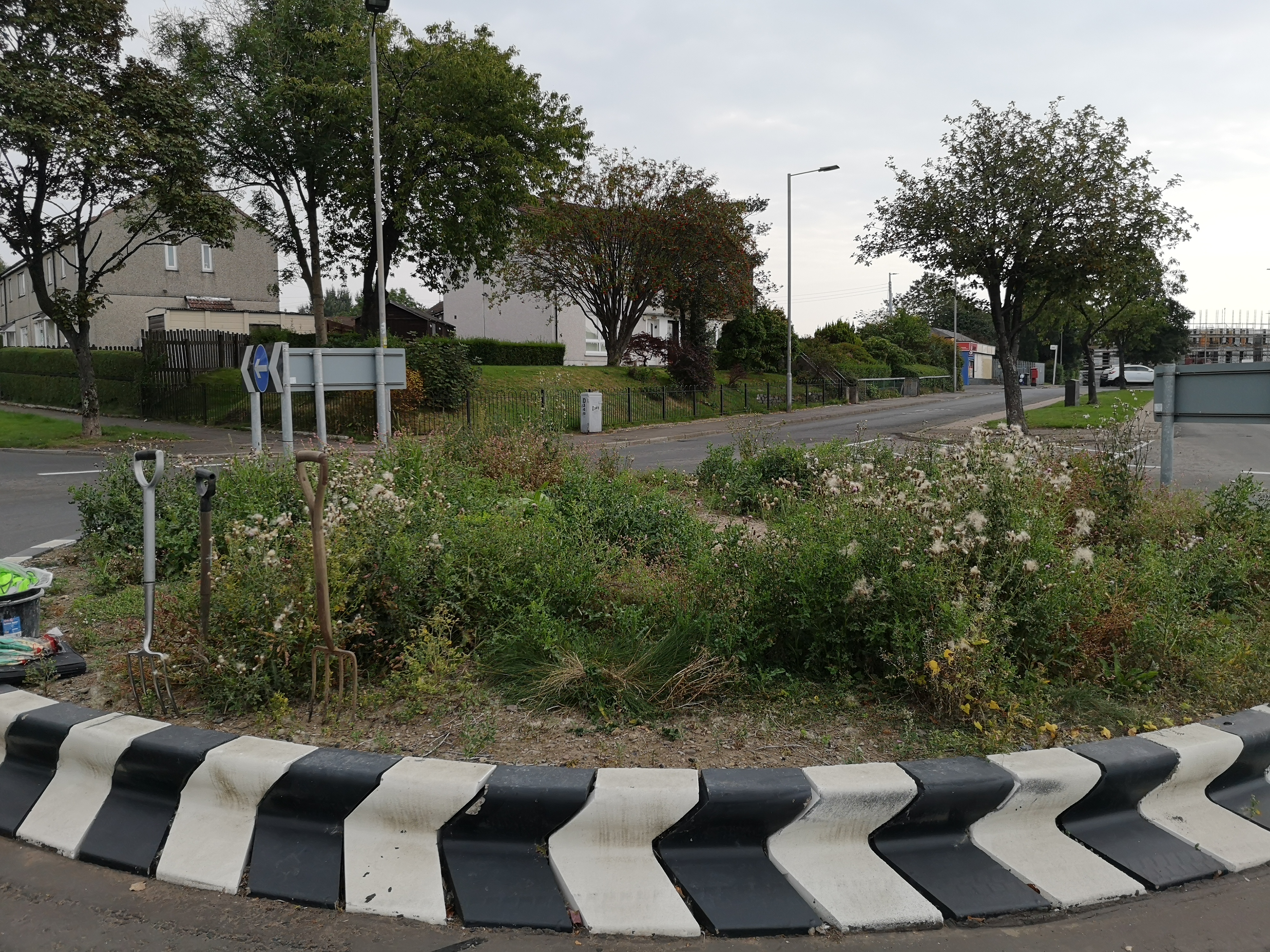 A picture of the garden after work has been done