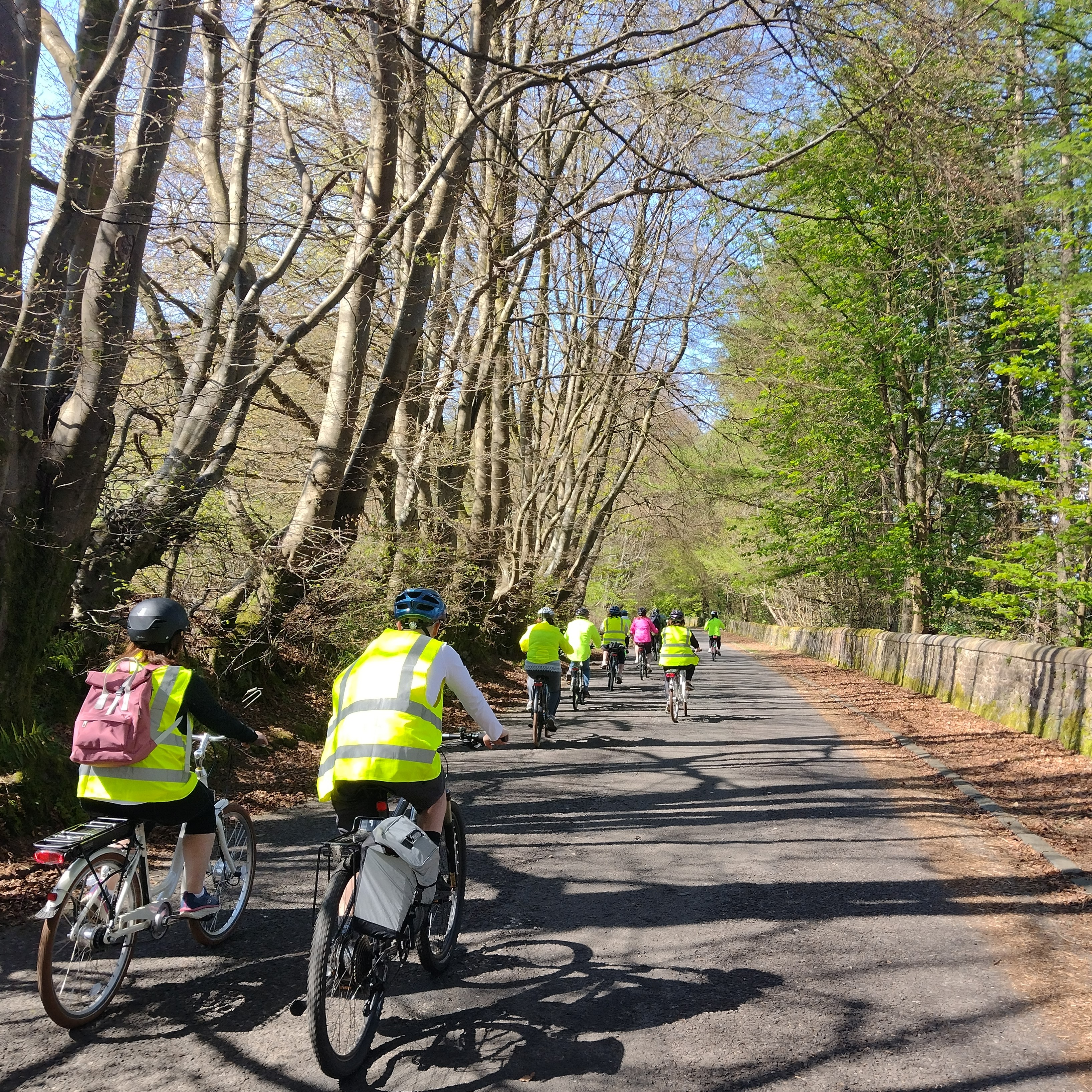 Group cycling down quiet tree lined road