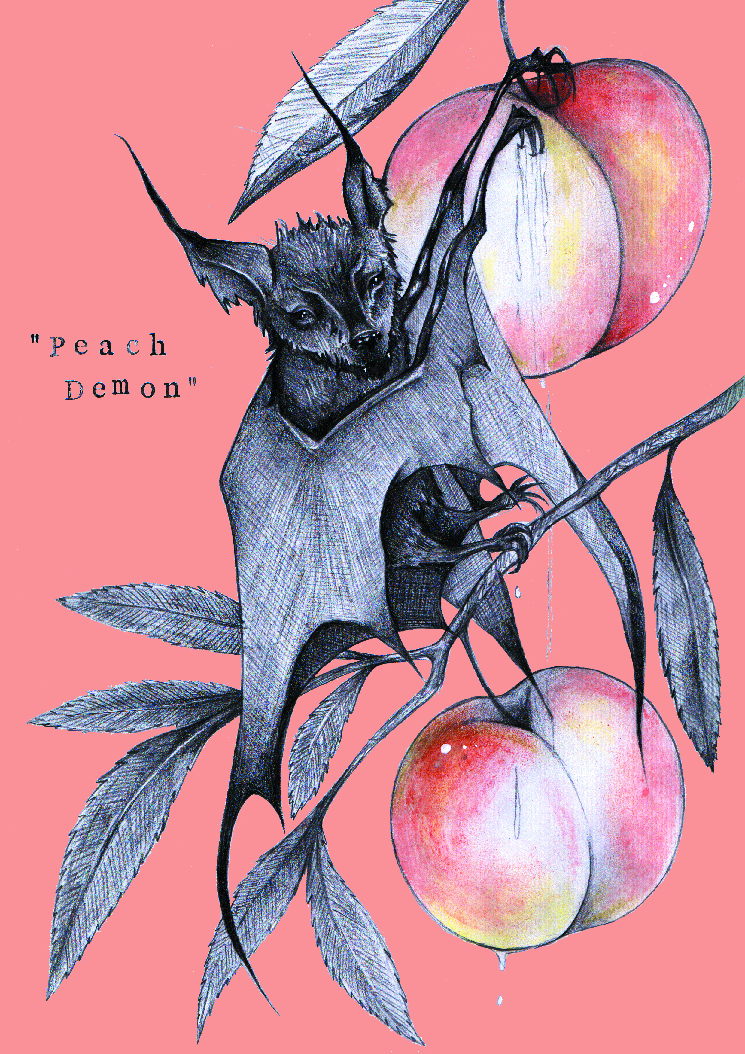 A pencil drawn + coloured image of a bat perched upon peach branches with text reading "Peach Demon"