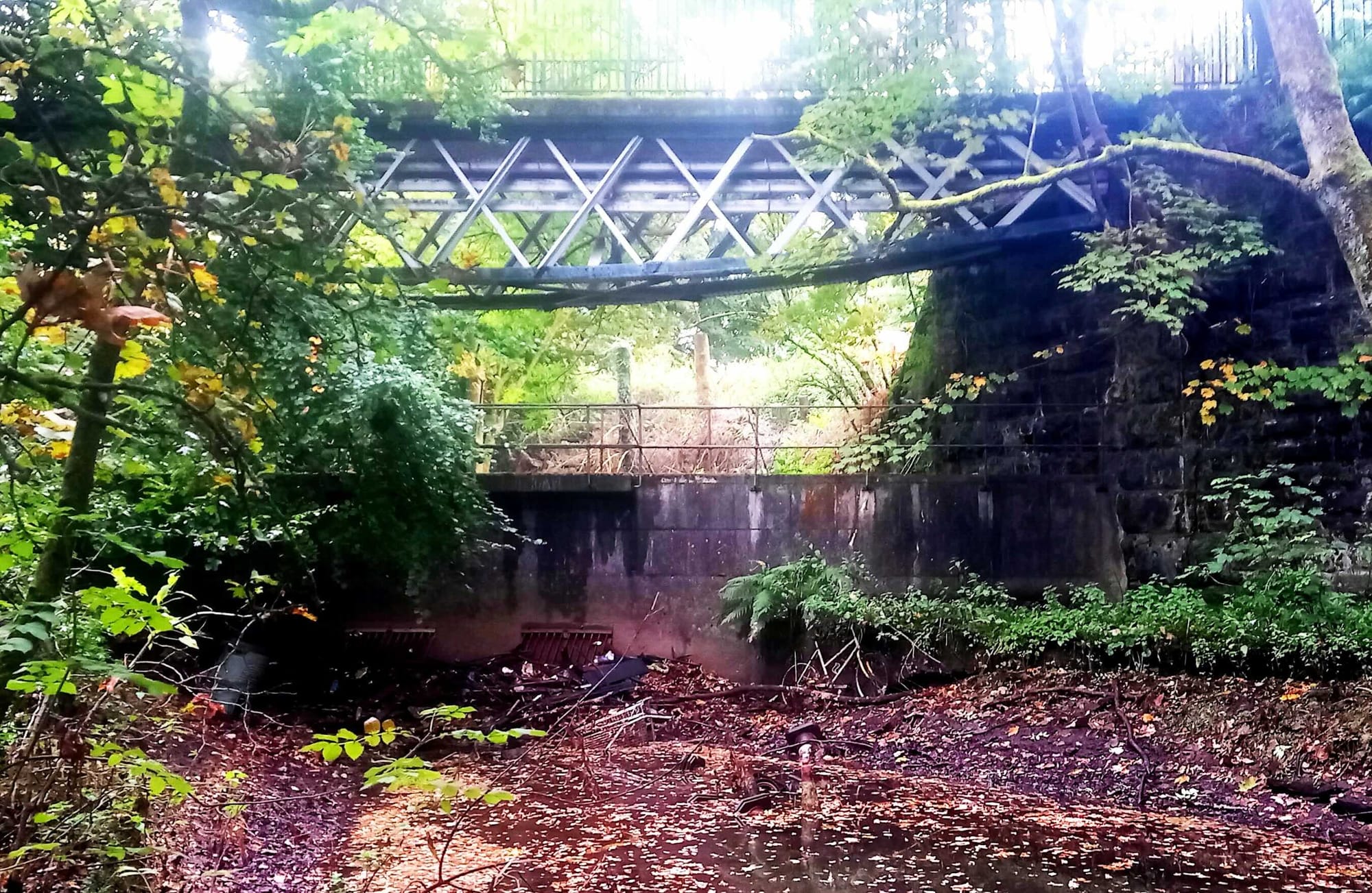 picturesque photo of one the stuckie bridges above the lade
