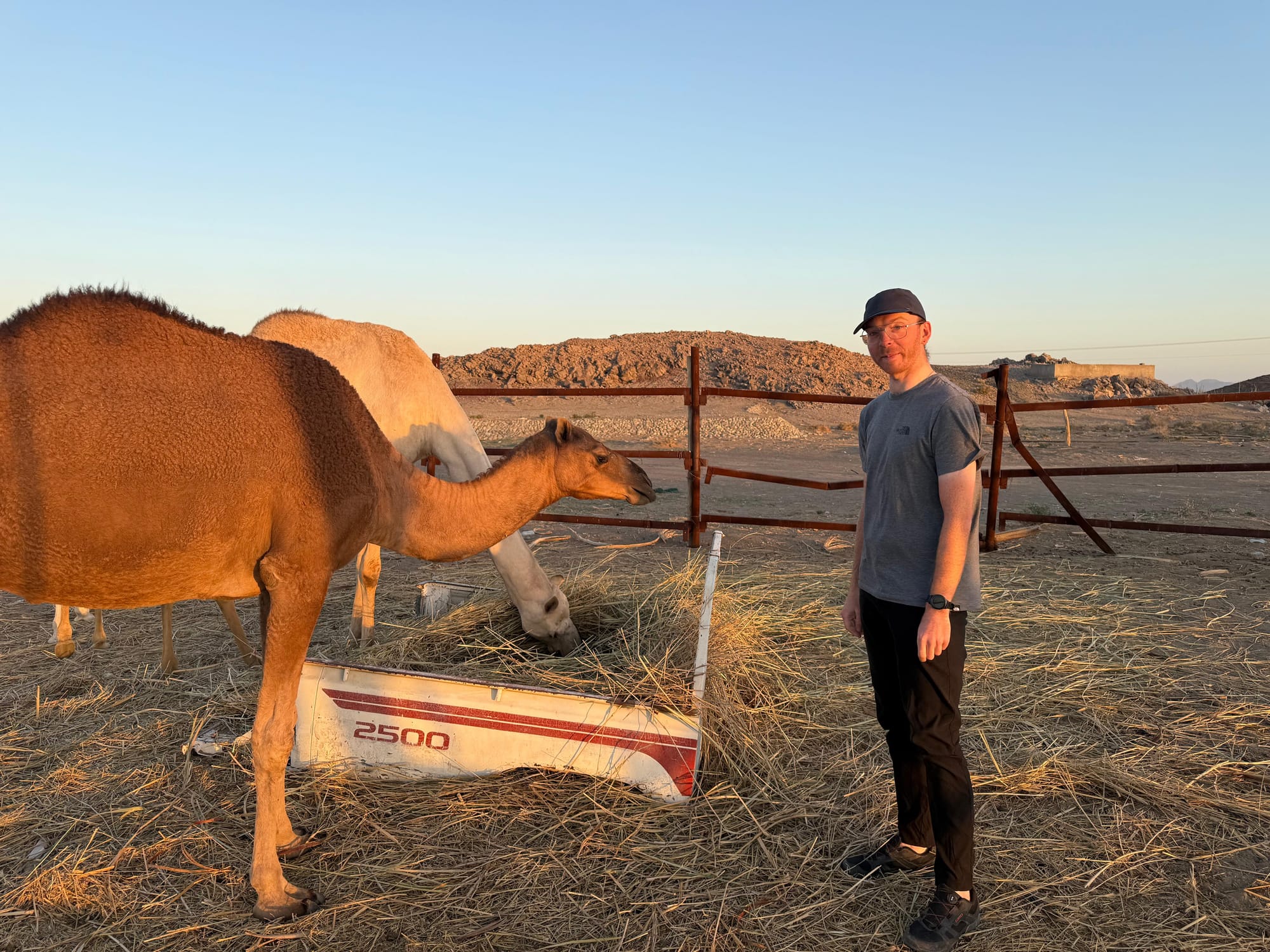 Connor standing next to two camels as the sun is setting