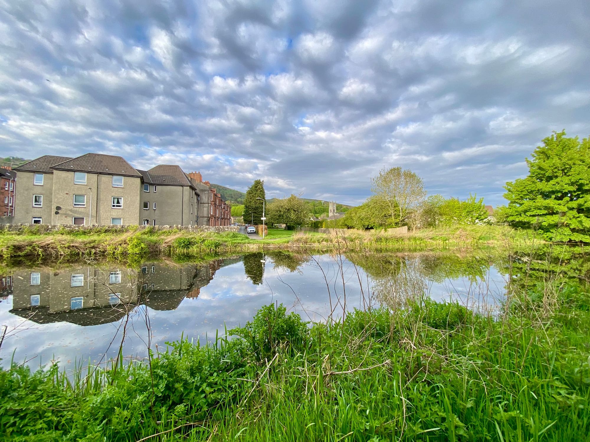 Forth and Clyde canal with houses opposite reflected in the water