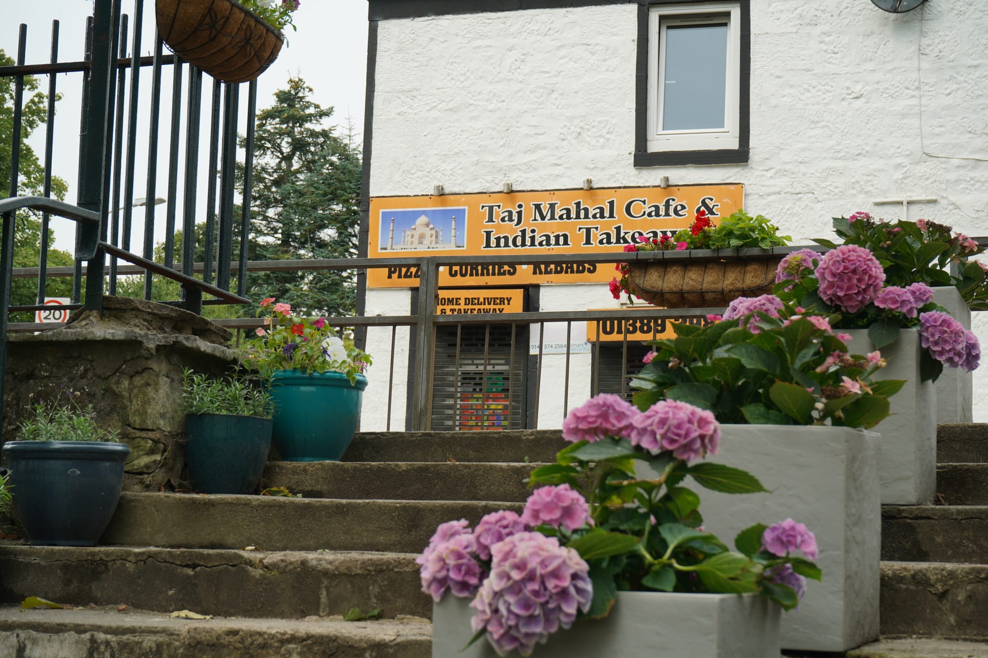 seven planters placed on stairs. four filled with pink hydrangeas.