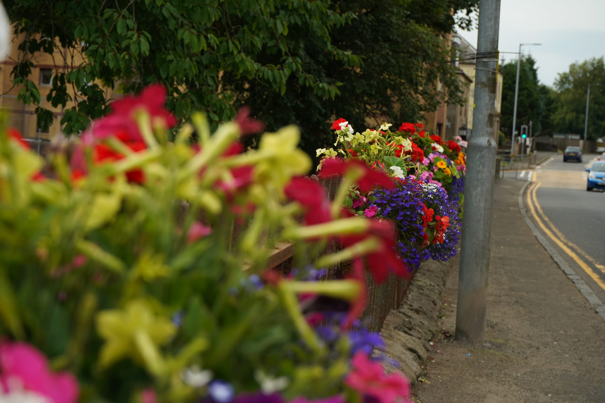 an assortment of flowers in baskets on a long railing