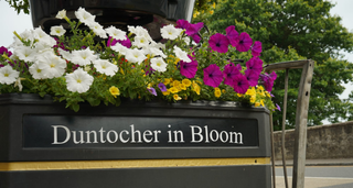 Duntocher Flower Power