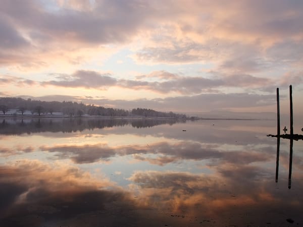 Local Solutions to a Global Crisis