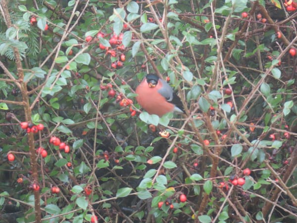 Conversations With Nature