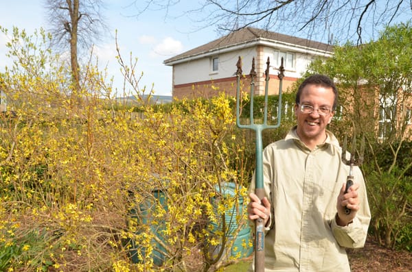 Blooming With Potential