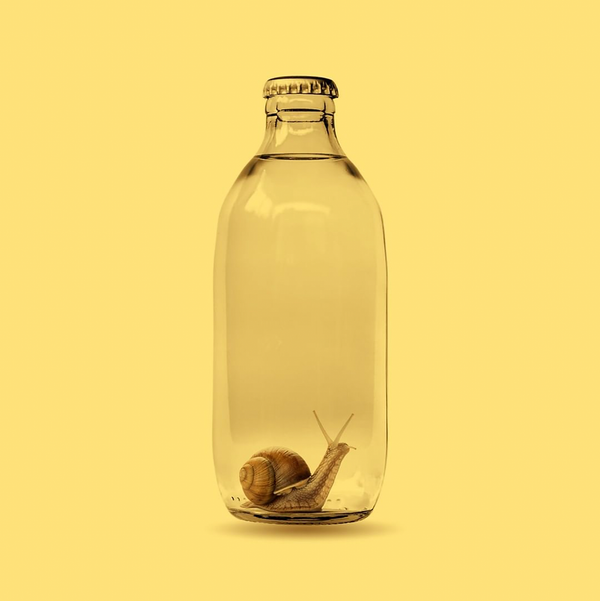 The Snail in the Bottle