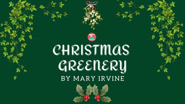 Christmas Greenery