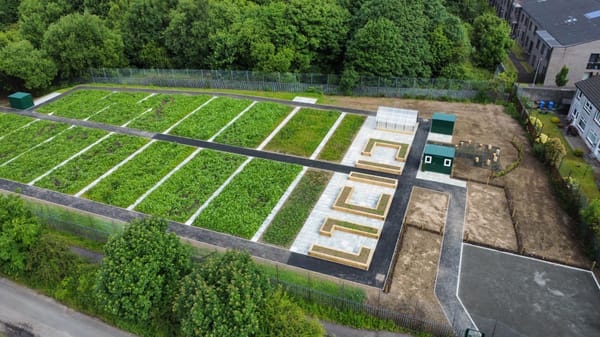 New Kid in the Gardening Block