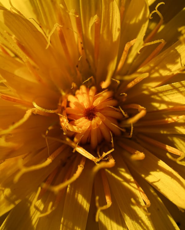 Photography Tips & Techniques