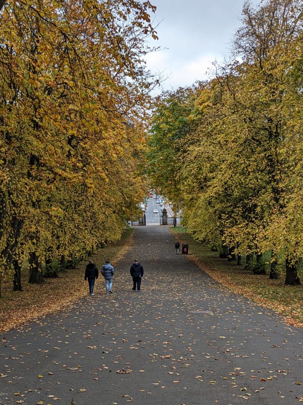 Photography Tips & Techniques – Trees