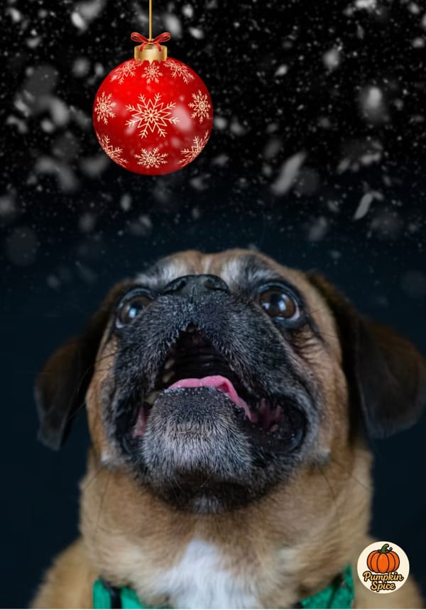 ❄️ Clydesider’s Winter Holiday Pet Competition! ❄️