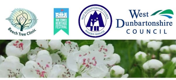 Foraging Walk at the Saltings