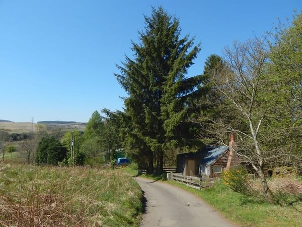 Carbeth Heritage Trail – Traditional Hutting since 1918