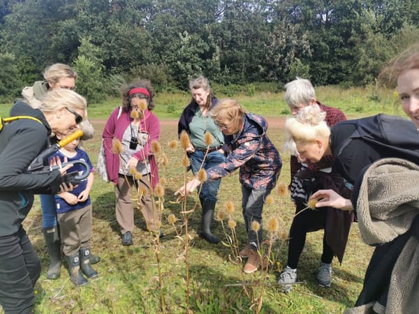 Discover Havoc Meadows guided walk