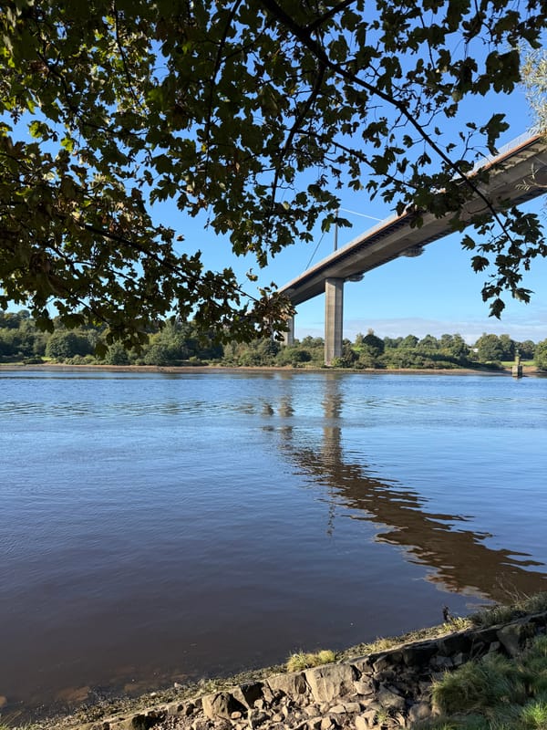 Meet Our Volunteers: Gemma!